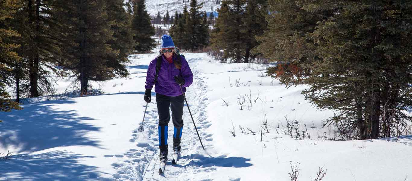 Alaska winter tours image of cross-country skier