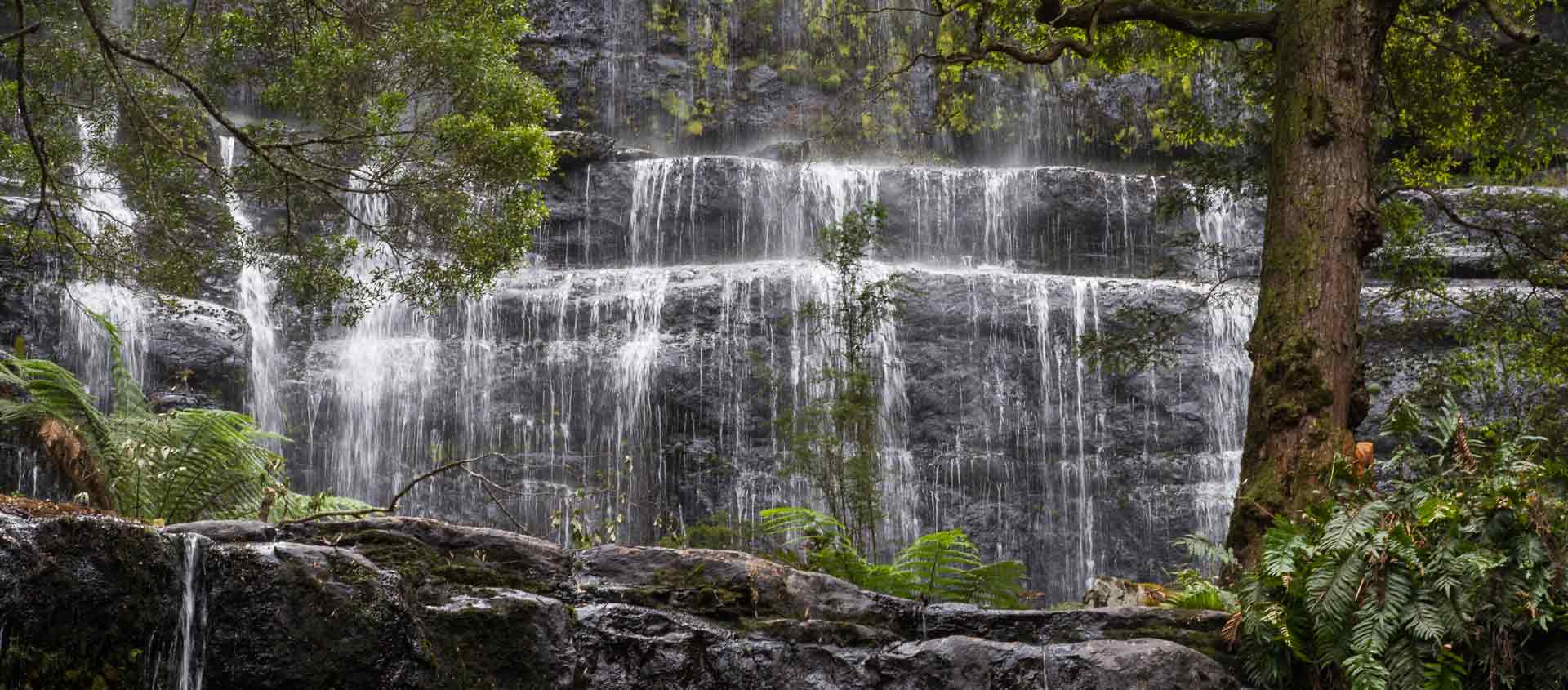 South Australia & Tasmania tour image of Russell Falls